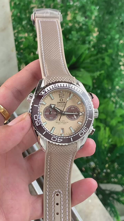 Omega Seamaster planet ocean