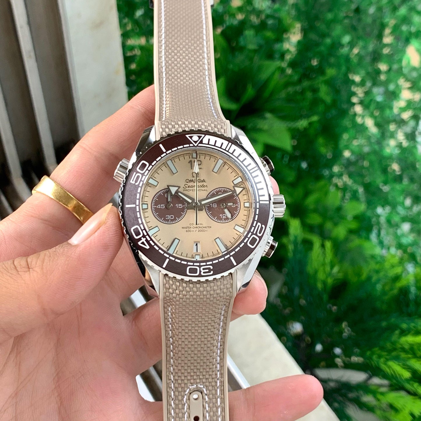 Omega Seamaster planet ocean