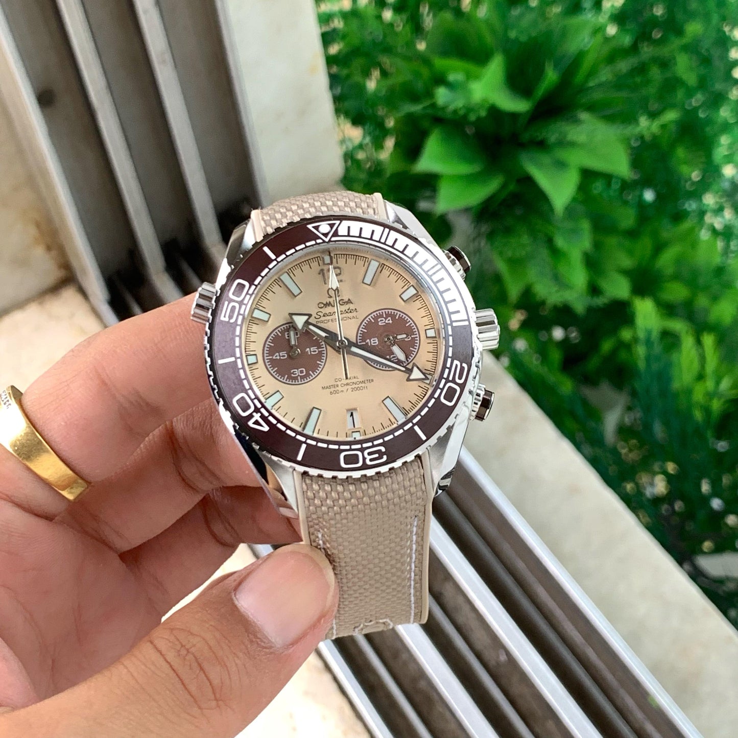 Omega Seamaster planet ocean