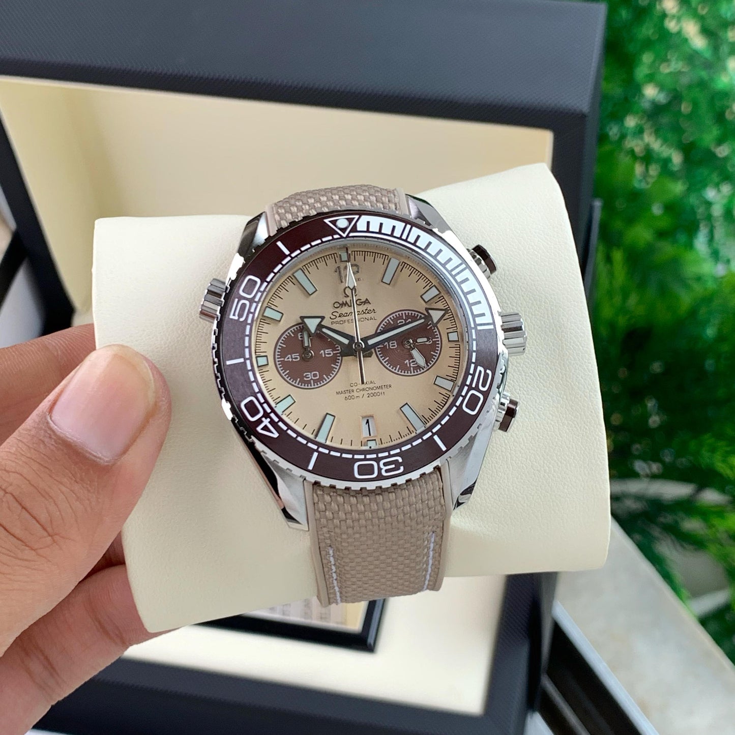 Omega Seamaster planet ocean