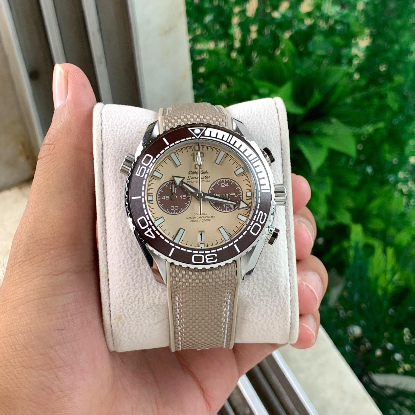 Omega Seamaster planet ocean